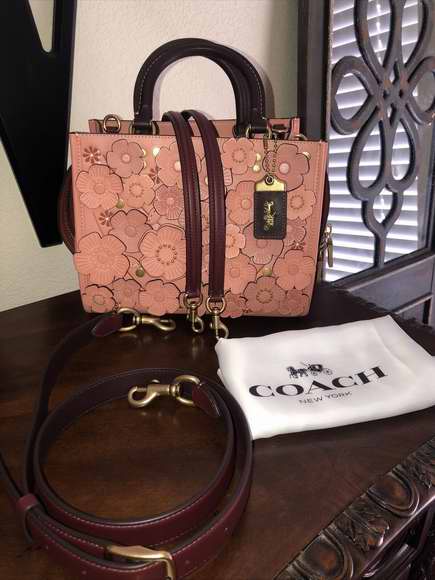 coach rogue 25 in colorblock with tea rose