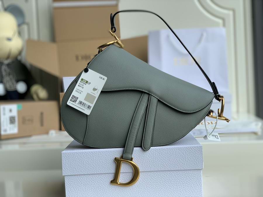  SADDLE BAG Gray Ultramatte Calfskin