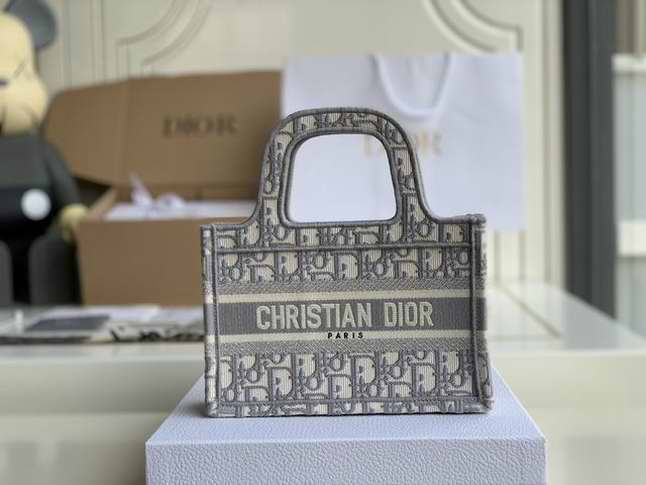  MINI DIOR BOOK TOTE